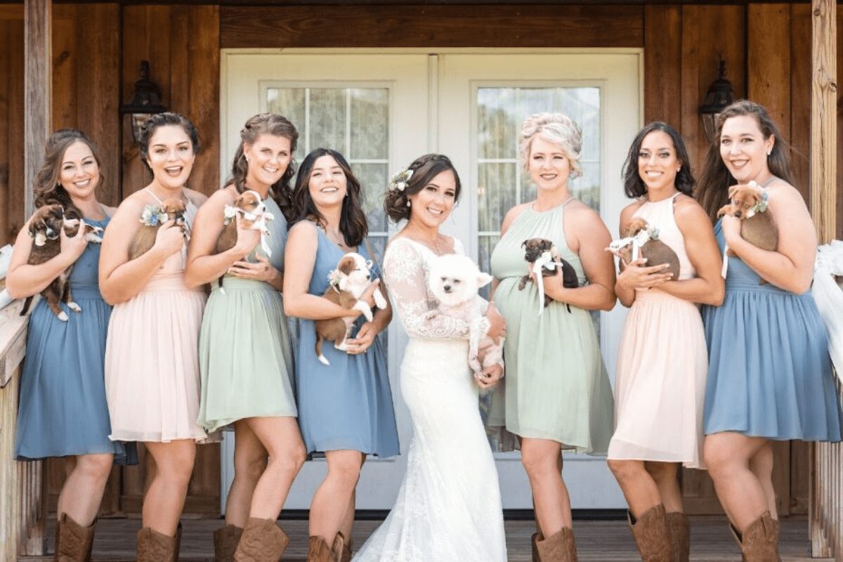 Bridal party carries rescue puppies down the aisle instead of bouquets to try and get them adopted.
