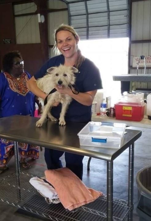 Woman saves over 500 dogs and cats at Texas animal shelter by transforming it from 100% kill rate to zero.