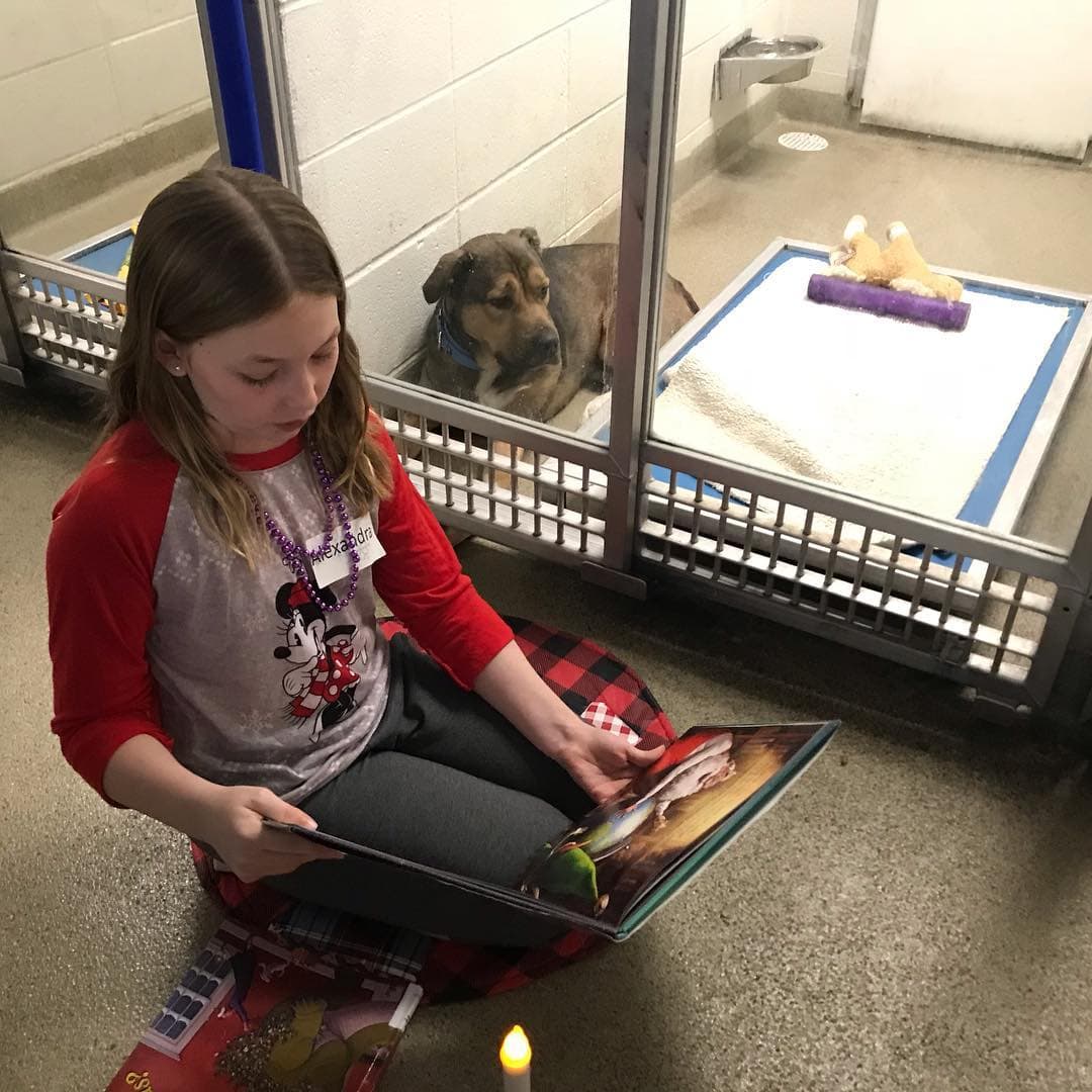 Kids bring holiday cheer and comfort to shelter animals with book reading and treats.