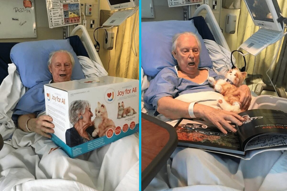 Dementia patient receives gift of lifelike, robotic cat that restored his since of purpose making him calmer & happier.