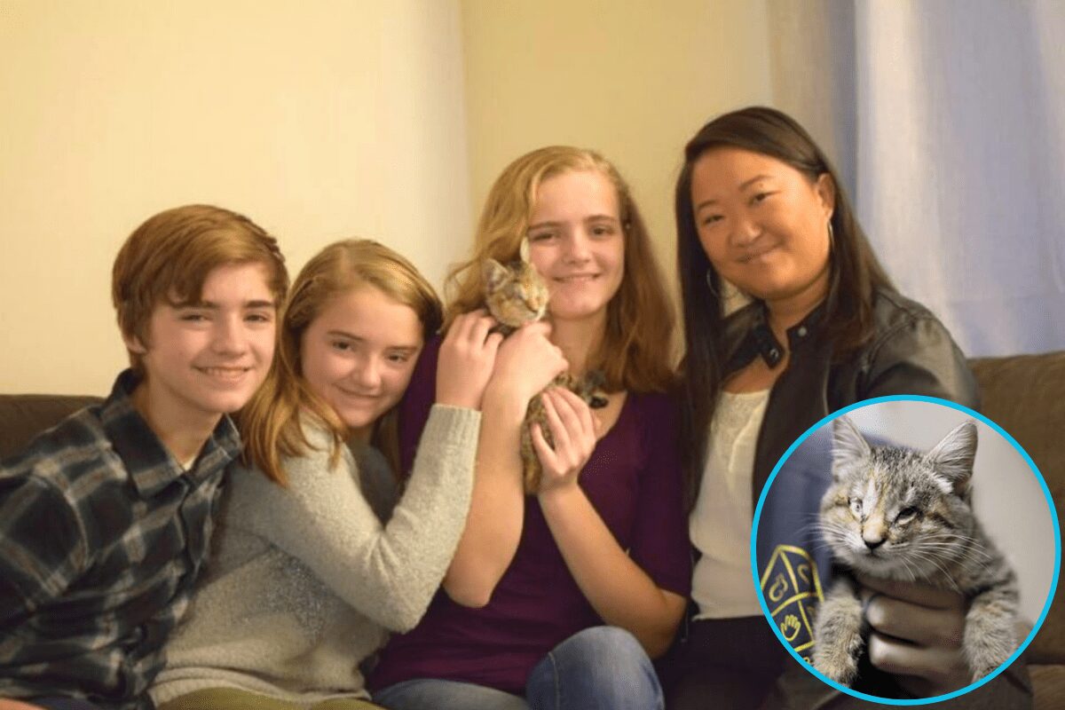 Blind kitten who was abandoned in a pile of trash, finds her fur-ever home with a family of adopted kids.