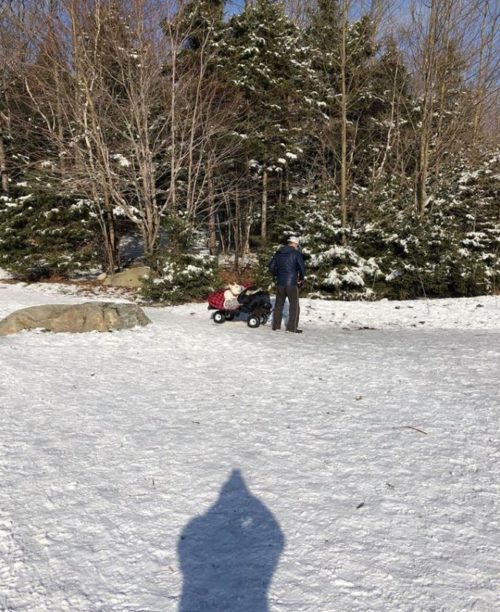Man takes his paralyzed dog on wagon rides every day so she can still enjoy the world.