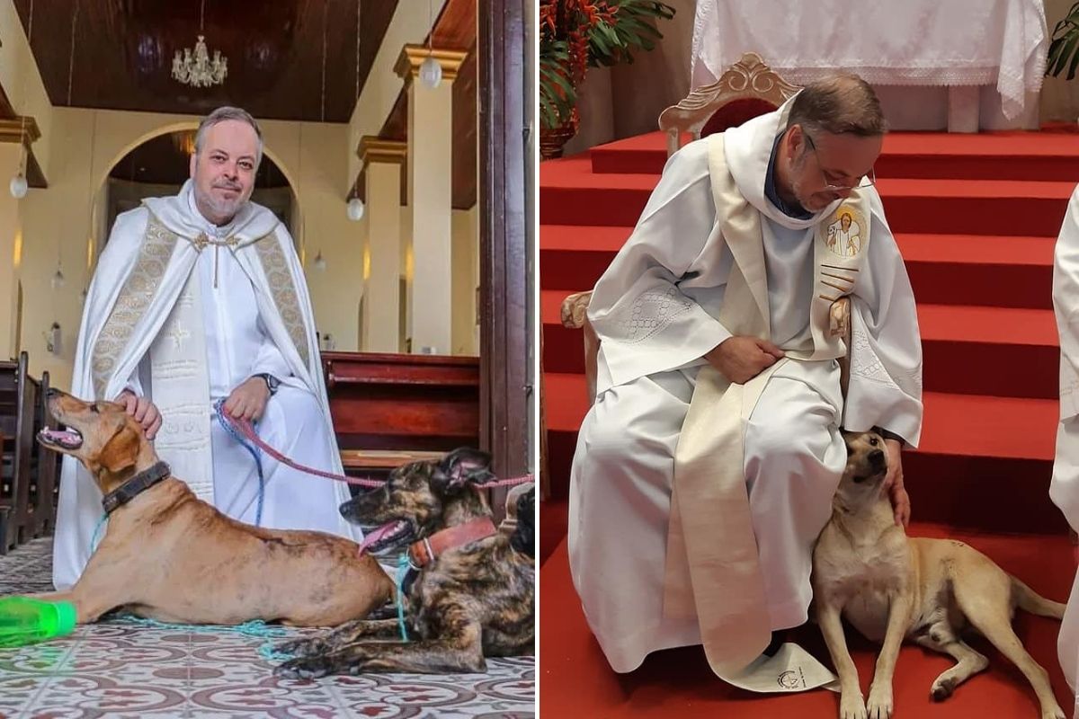 Brazilian priest brings stray dogs into his Masses to help them get adopted. 