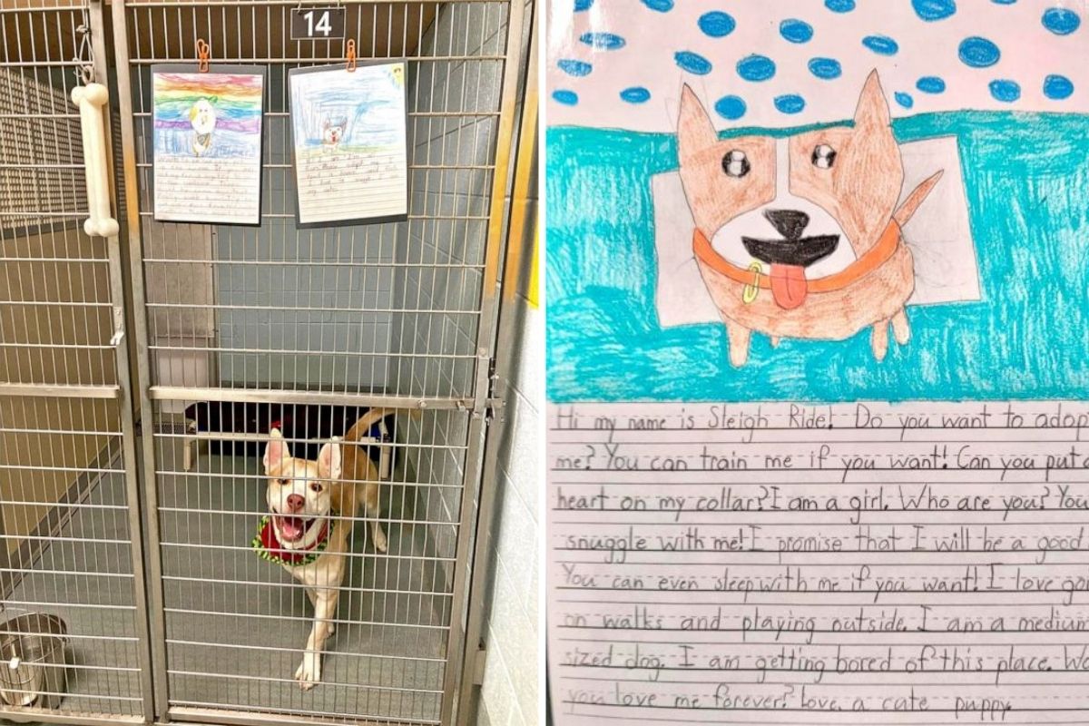 2nd graders write compelling letters on behalf of shelter dogs to help them get adopted.