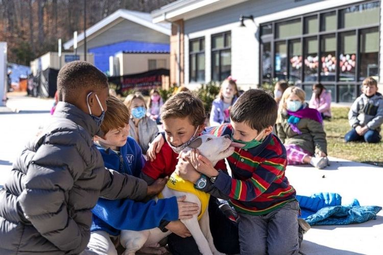 Second graders meet shelter dog, Snow.