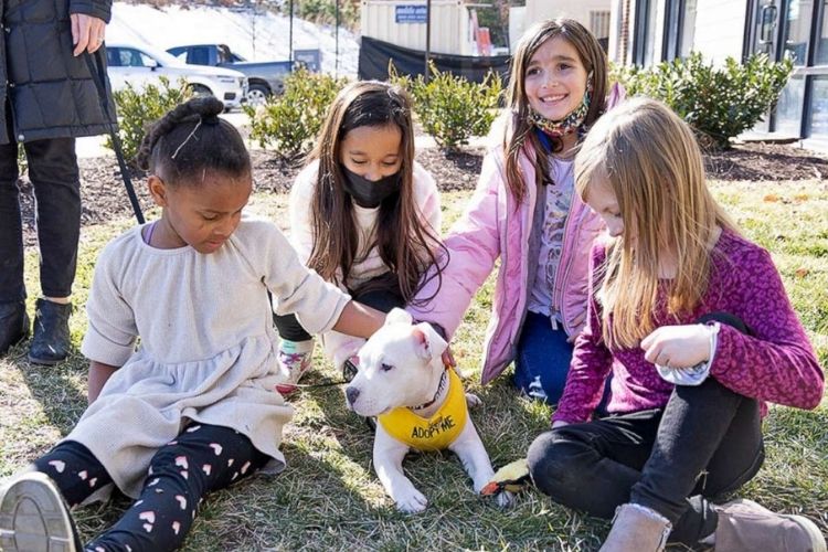 Second graders meet shelter dog, Snow.