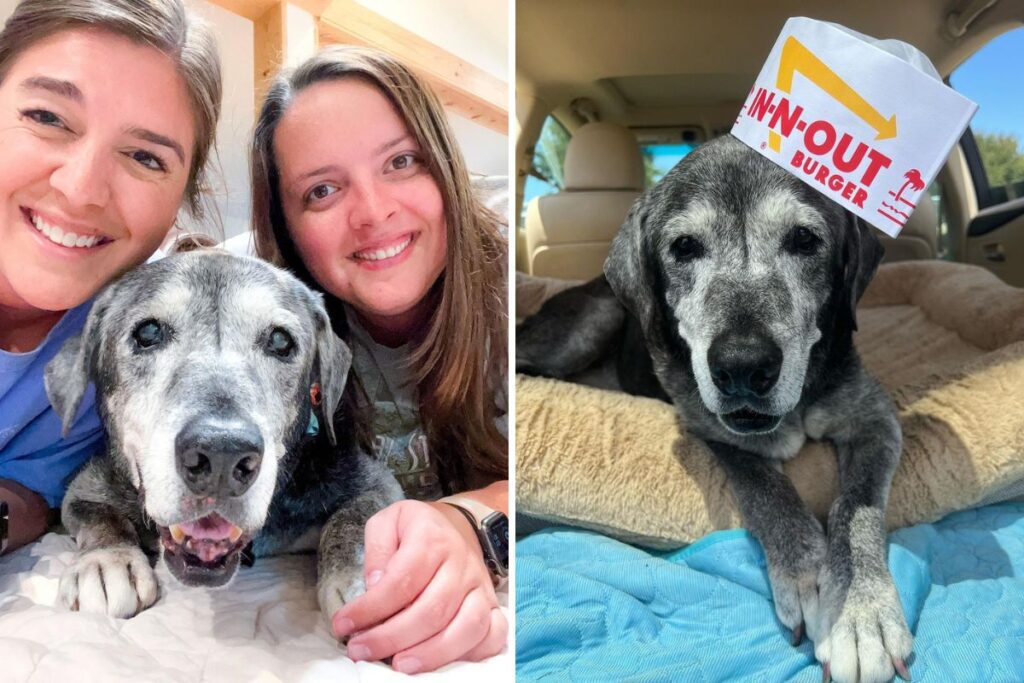 Best friends take in 19-year-old shelter dog and create a bucket list to fill her last days with love