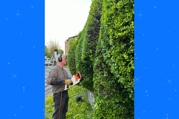 Esculturas de Hedge de Londres Prestam Homenagem à Esposa Falecida e Inspiram a Comunidade