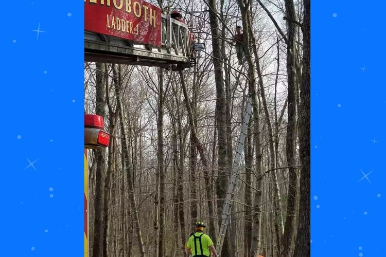 Massachusetts Firefighters Rescue 5-Year-Old Boy Trapped 35 Feet in the Air: A Childhood Adventure and a Community’s Quick Response