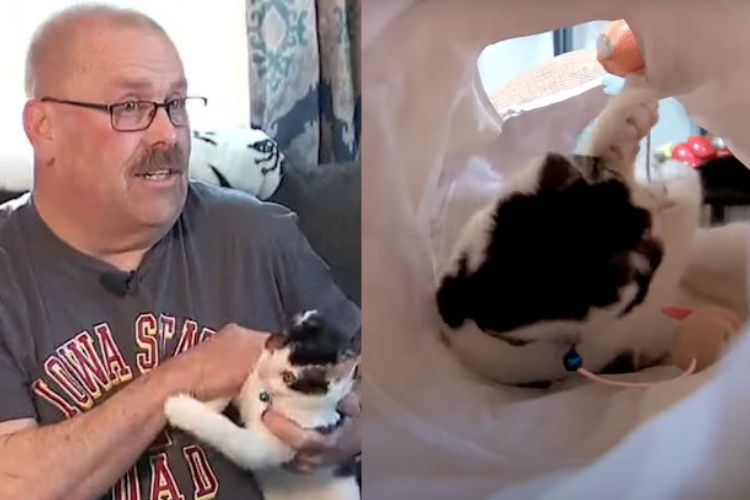 gato Resgatado Encontra Lar Para Sempre com Policial que o Salvou