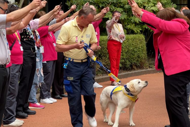 A Despedida de Holly, a Cão a Cuidar dos Pequenos