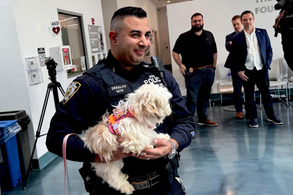 Oficial resgata cãozinho em nova York