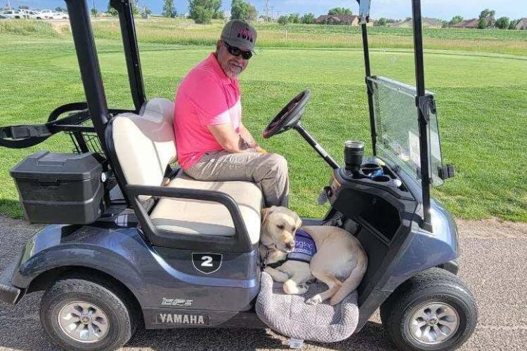 O cachorro -herói envia o Batimento Cardíaco Irregular do Veterono – o Anula de Um Grande Derrame