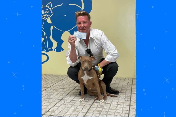 Corretor de Imóveis na Flórida Oferece Adoção de Cão de Abrigo com Cada Casa Vendida