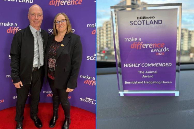 Casal transforma sua casa em um hospital ouriço – completo com maternidade e ‘Hogbulances’